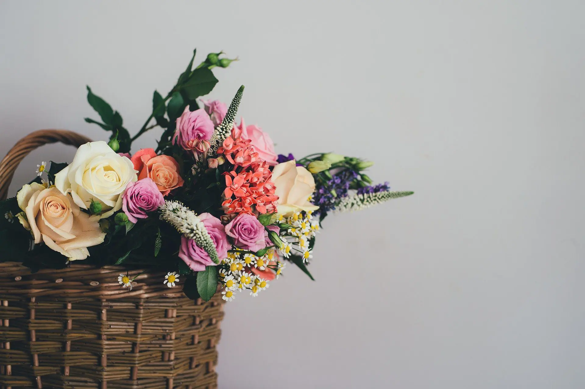 A stunning flower basket filled with roses.