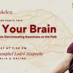 Use Yor Brain. How to Cultivate Discriminating Awareness on the Path. New Year retreat