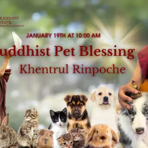 Khentrul Rinpoche performs Buddhist pet blessing.