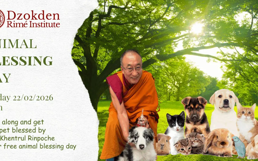 2026 Buddhist Pet Blessing with Shar Khentrul Rinpoche